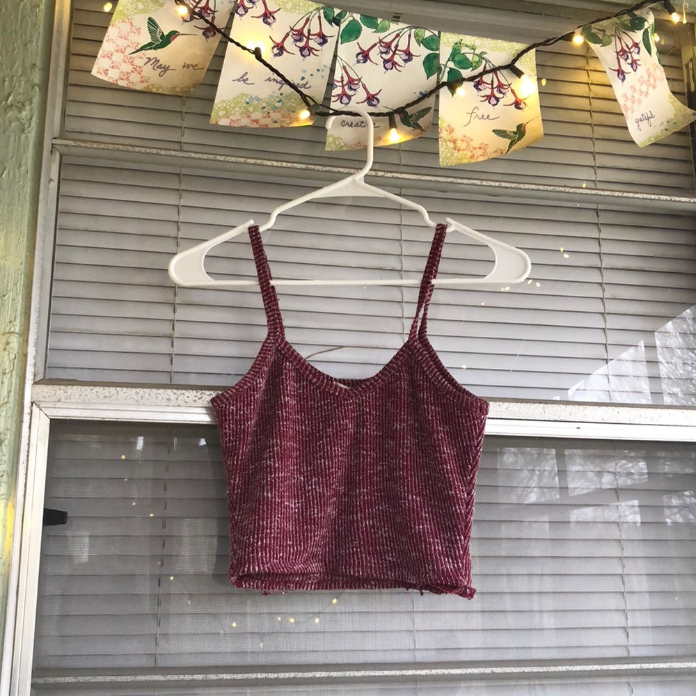 Bozzolo Maroon Crop Top